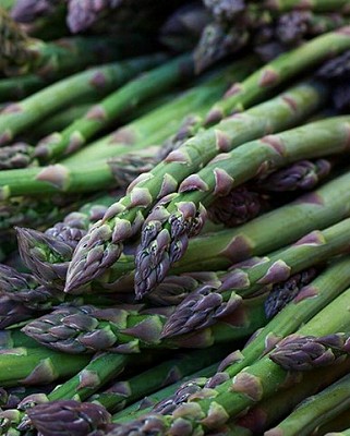 Asparagus - UC157 F2