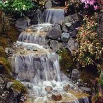 You can be very creative with water features