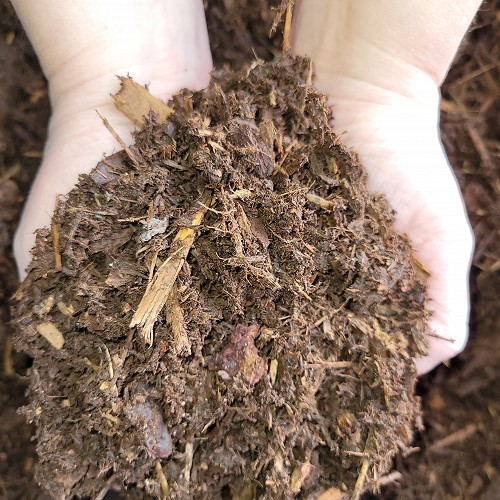 Bark - MEDIUM Mulch