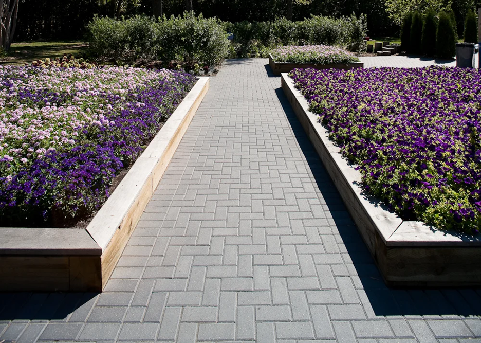 Holland Paver by Barkman