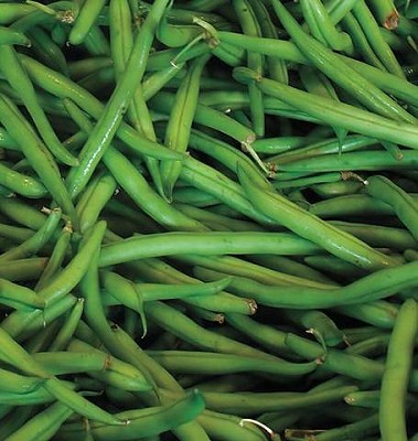 Beans - Blue Lake