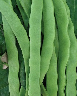 Beans - Hilda Romano