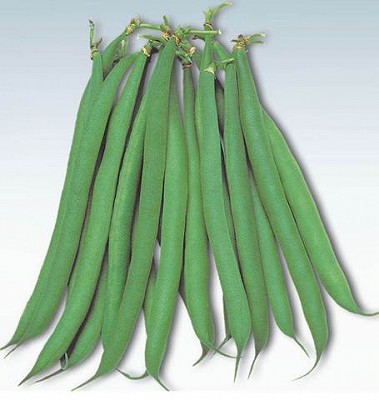 Beans - Masai