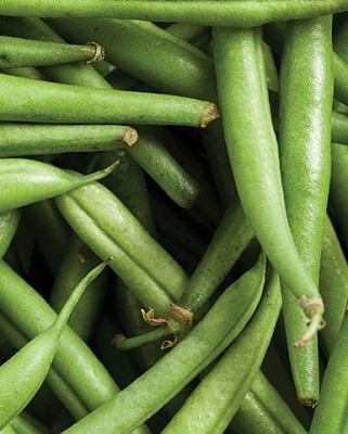 Beans - Strike Bush Beans