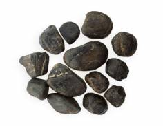 Pebbles, Black Polished: 1/2” - 1”