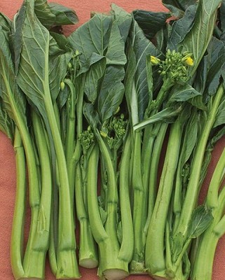 Choi Sum - Jade Spring Choi Sum