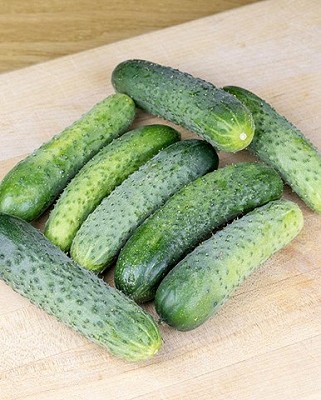 Cucumber - Artist Gherkin Coated