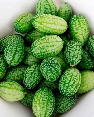 Cucumber - Cucamelon