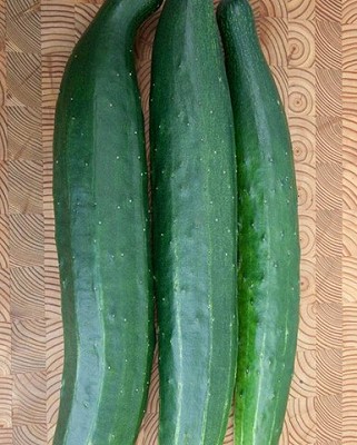 Cucumber - Tasty Green