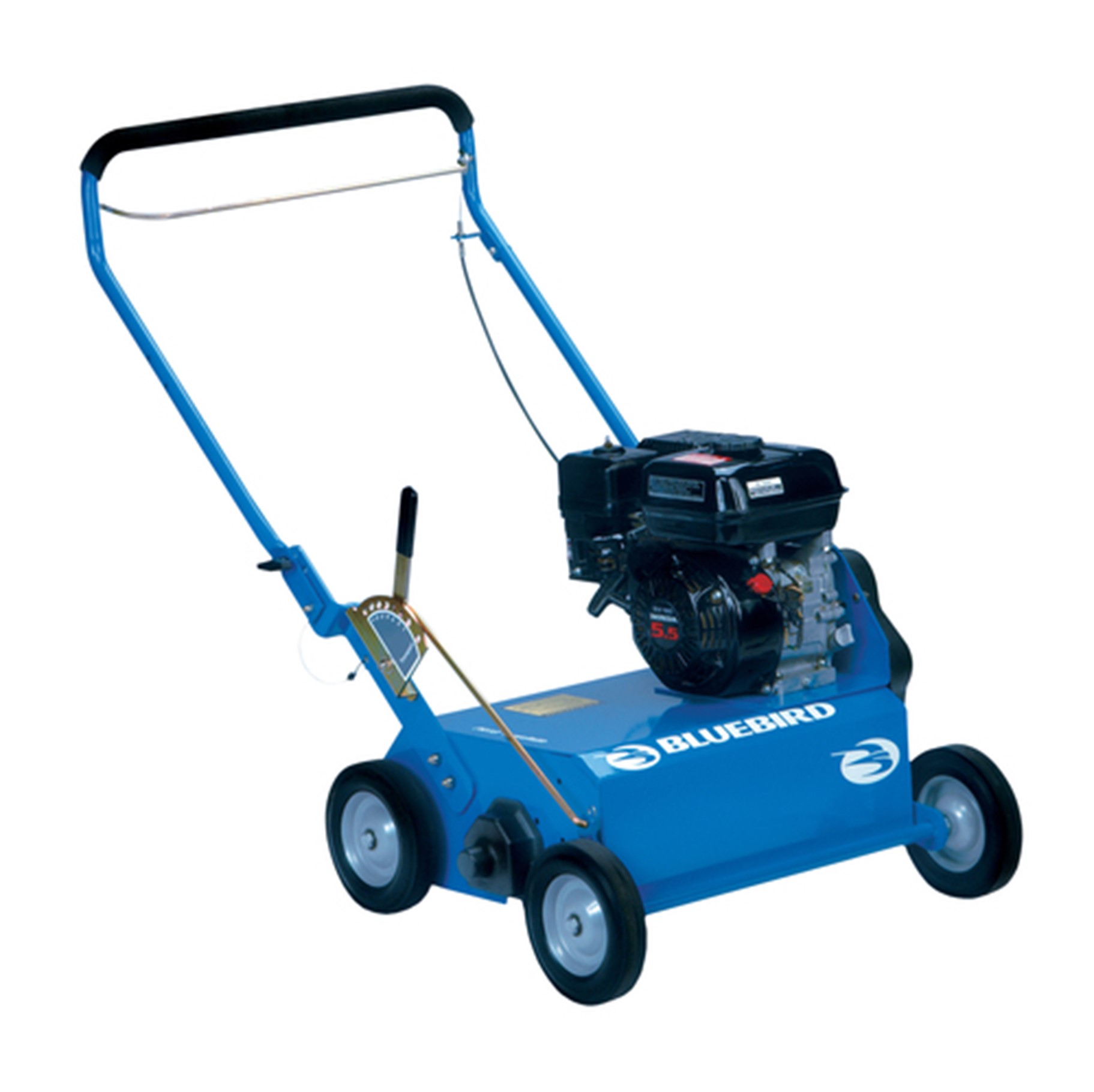 For Rent: Dethatcher