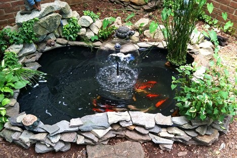 Fish Food
