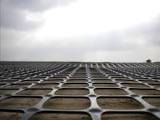 Geogrid
