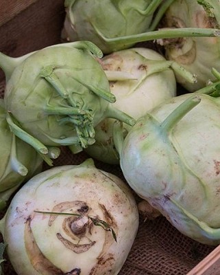 Kohlrabi Superschmeltz