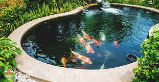 Water Treatments