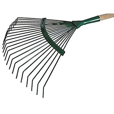 For Rent: Lawn Rake