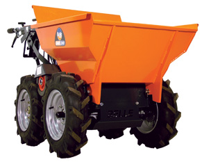 For Rent: Wheelbarrow, Walk-Behind Gas Powered
