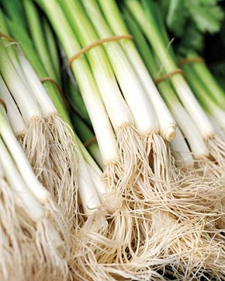 Onions - Kincho Scallions