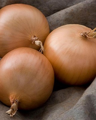 Onions - Patterson, Storage