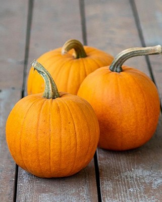 Pumpkin - Small Sugar