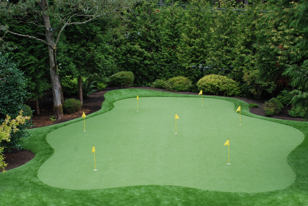 Putting Green Turf