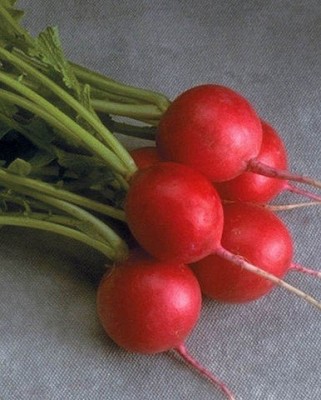 Radishes - Cherriette