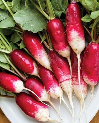 Radishes - French Breakfast