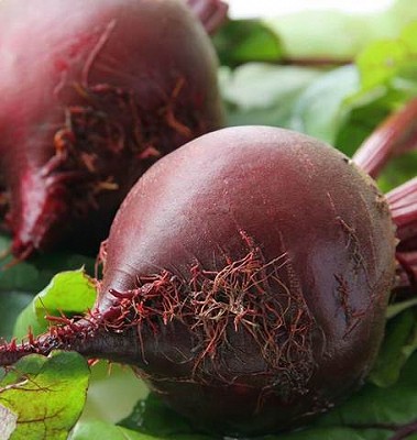 Beets - Red Ace
