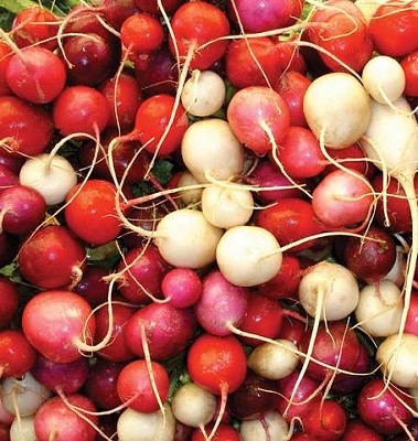 Radishes - Easter Egg II