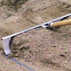 For Rent: Sand Lute