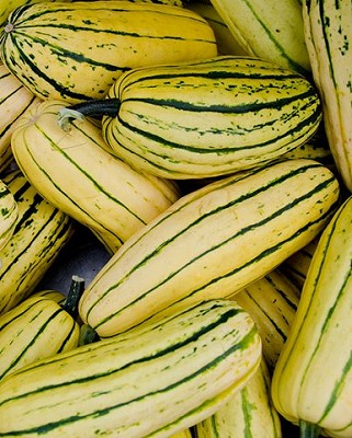 Squash - Delicata Honey Boat Organic