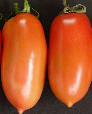 Tomato - La Roma
